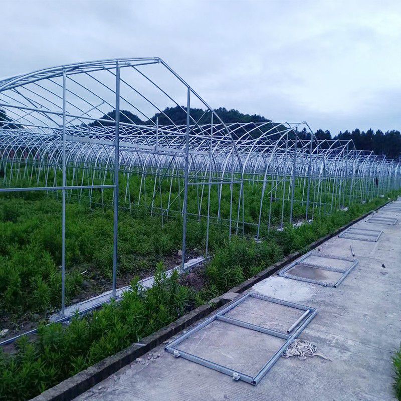 新樂大棚骨架
