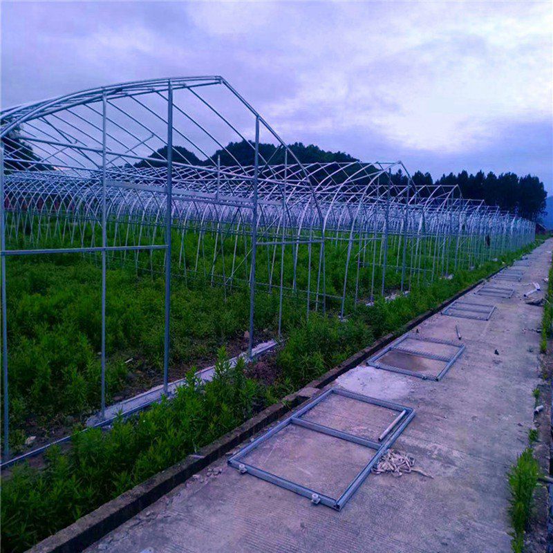 新樂大棚骨架